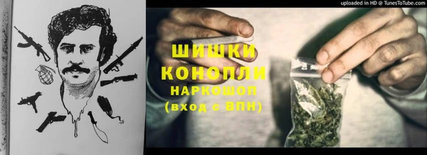 СК Алексин