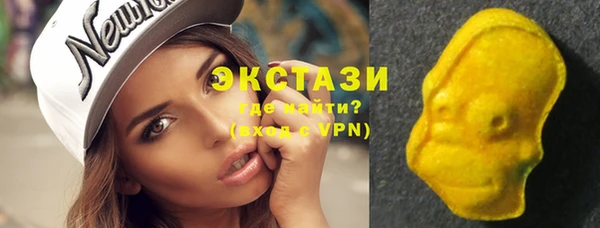 СК Алексин