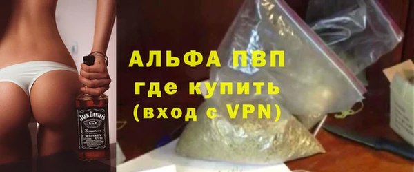 СК Алексин