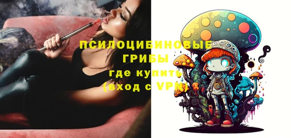 СК Алексин