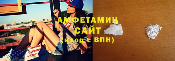 СК Алексин