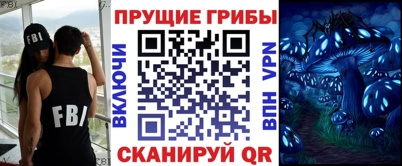 Псилоцибиновые грибы Psilocybe  Минусинск 